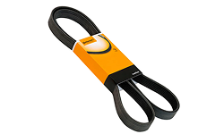 Correias Poly-V